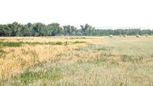 The cut and baled land and the untouched land in this photo represent where survey markers indicate property boundaries exist between Maude private property and USFS property. Charles Maude and Heather Maude were indicted separately for theft of federal property, and each must retain their own attorney – doubling their legal costs. (Courtesy photo)