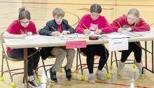 Brain Brawl results announced