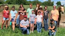 Connecting with horses