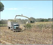 Over the Labor Day weekend it was chopping silage and canning tomatoes, along with visiting with family.