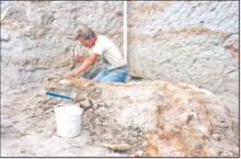 Paleontologist Peter Larson of Hill City, S.D., is shown working to extract bones from Sue the T. rex, discovered near Faith, S.D. in 1990. (Photo: Courtesy Black Hills Institute of Geological Research)