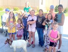 Last week the Border Bumpers 4-H Club members held a petting zoo at the Avera Rosebud Country Care Center in Gregory. They brought kittens, a dog, a Jersey cow, goats, and rabbits for a petting zoo for the residents. Members of 4-H who participated were Nova and Milo Serr, Liz and Lydia Wonnenberg, Lashya Graesser, Cora and Zona Serr, and Cierra Graesser.