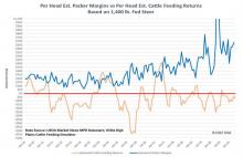 Cattle producers supplement