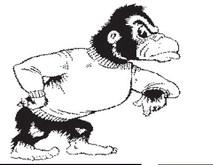 Lady Gorillas