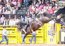 Zeke Thurston of Big Valley Alberta Canada marking 86.5 in round 4 of Wrangler National Finals Rodeo aboard Muddy Creek ProRodeo’s legendary “Bugsy” (Photo by Roseanna Sales)
