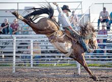 Tanner Butner of Daniel, Wyoming, #9 PRCA Saddle Bronc Standings, is shown here aboard Final Portrait of Muddy Creek ProRodeo at the 2022 Burke Stampede Rodeo. (Photo by Alicia Stangle)