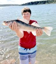 Braylon Stevicks of Gregory won $100 for the walleye he tagged in the Midwest Walleye Challenge for South Dakota.