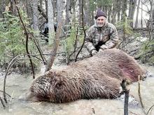 Chris McAllister had the opportunity to hunt the twelfth largest grizzly on record in May.
