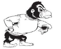 Lady Gorillas