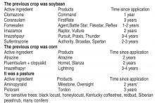Herbicide carryover: caution when planting new windbreaks