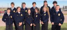 FFA does well in first ever competition
