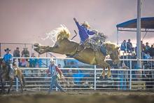 Professional bronc rider Shorty Garrett scoring 84 points on ‘All Jacked Up’ at the 2025 Burke Stampede Rodeo.