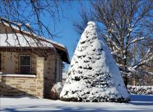 It’s beginning to look a lot like Christmas