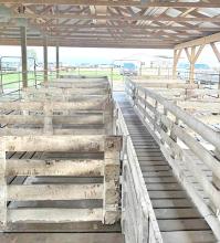 Hog slats out of Lynch, NE, were installed under the swine pens. (Photo by Morgan Rozeboom)