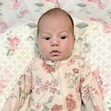Stevicks announce birth