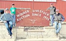 Four Winner, South Dakota youth put on a bull sale: Roper Moore, Rider Moore, Rowdy Moore and Garret Phillips. Photo: South Dakota Farmers Union