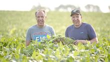 Gene and Craig Stehly use a variety of regenerative agriculture practices, which provide food and habitat for wildlife on their farm near Mitchell, SD. (USDA-NRCS South Dakota photo)
