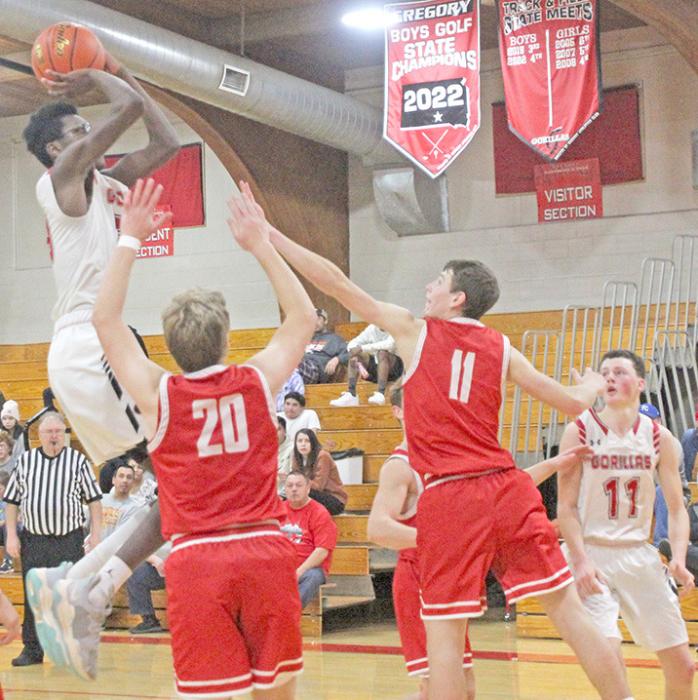 Daniel Mitchell scored a total of 50 points in the Gorillas’ last three games. He is shown here going way over the Chamberlain defenders’ heads for a jump shot.