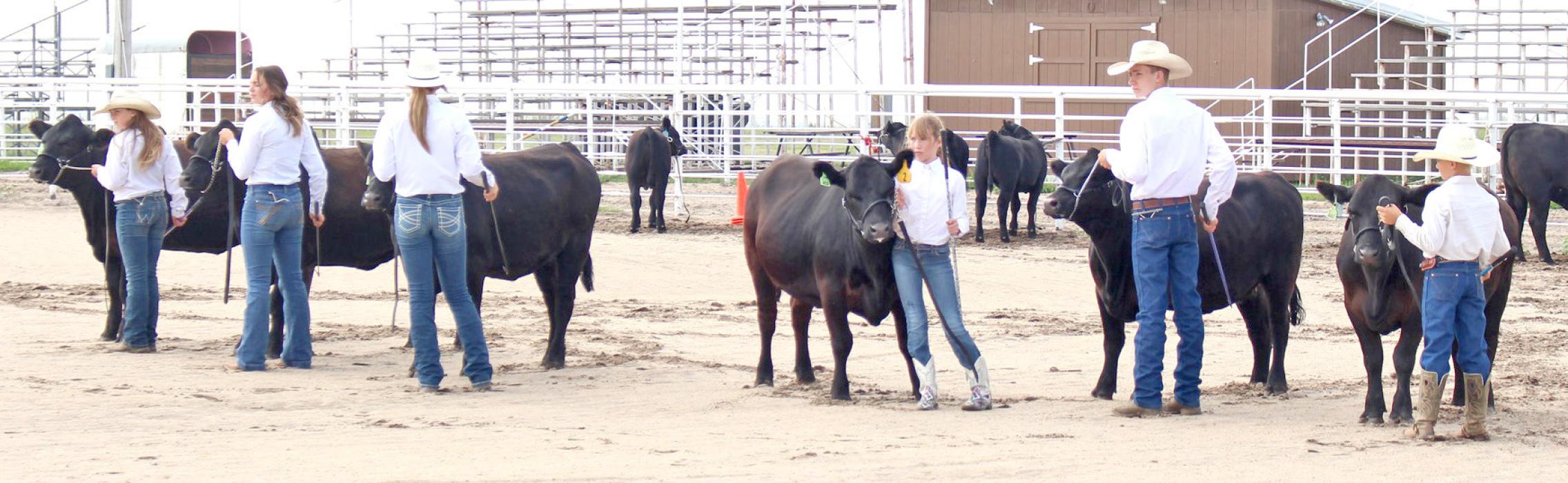 Gregory County 4-H has wraps up our annual Achievement Days