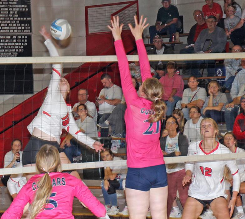 Mya Determan led the Lady Spikers with 12 points with 1 ace serve against the Burke Lady Cougars during the 'Dig For A Cure' night at the Gregory Memorial Auditorium on October 14.