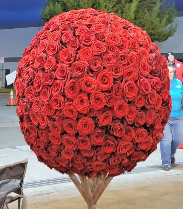 The two rose spheres contained at total of 1,800 roses.