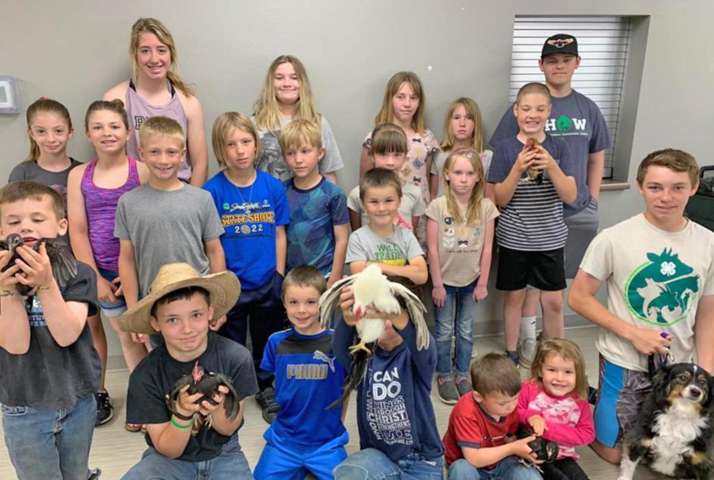 Q2 Gregory County-wide meeting: How to show small animals