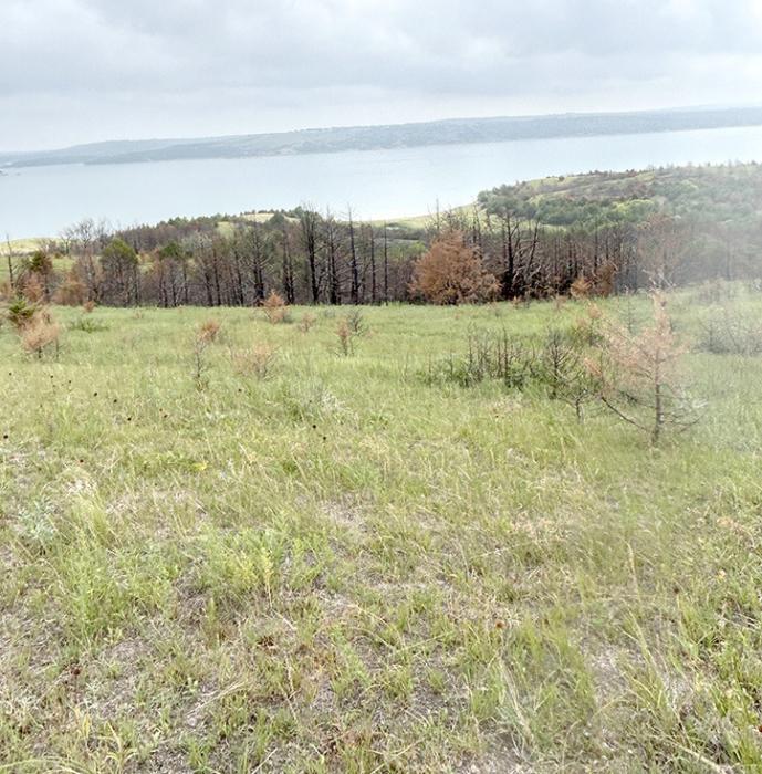 Last week, the Mid Missouri River Prescribed Burn Association held a burn tour at Rich and Sara Grim’s ranch.