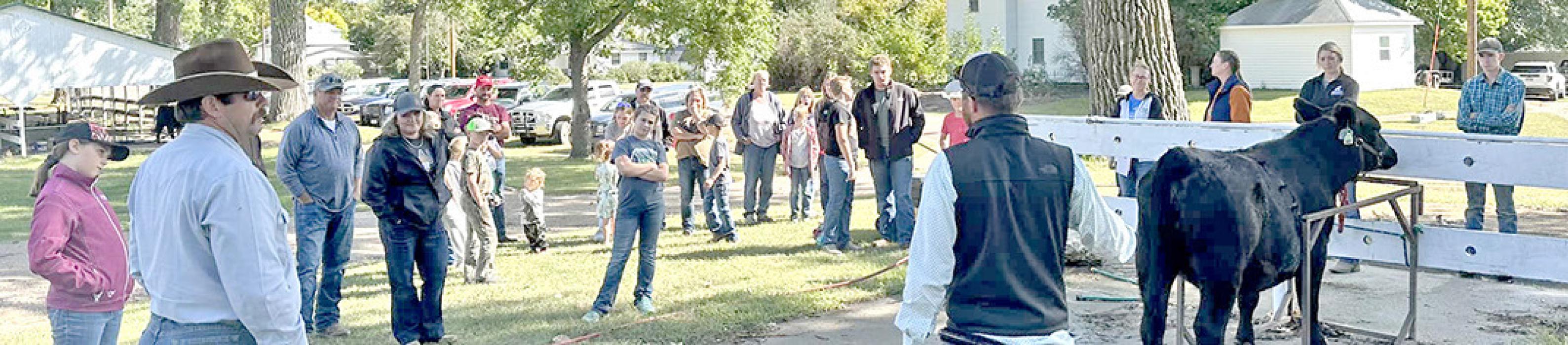 Gregory County 4-H hosts cattle care and clipping
