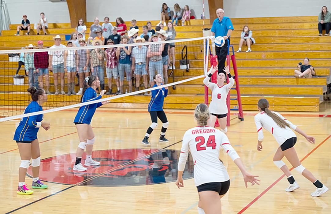 Dani Timanus sets the ball in Gregory’s game against Todd County last Tuesday. The Spikers were able to win the five-set game.