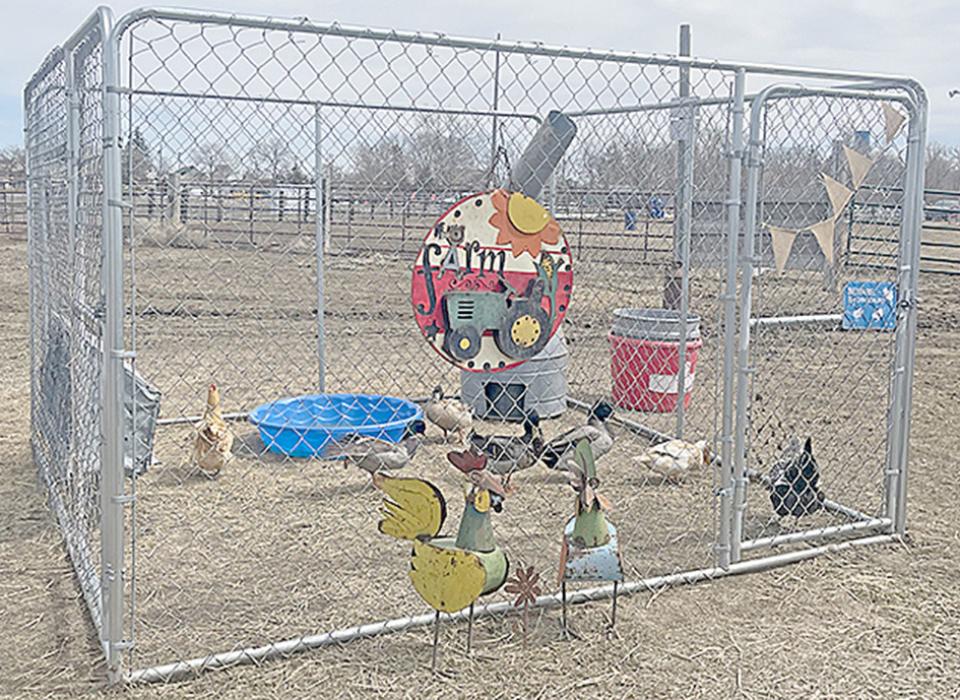 Sam’s Farm Festival couldn’t have asked for nicer weather on Saturday for their Easter weekend opening. Families enjoyed a chance to soak up some sunshine as the kids played on the numerous attractions set up at the old Dallas ballfield. Even the animals seemed to be happy about the arrival of warmer weather and disappearance of snow.