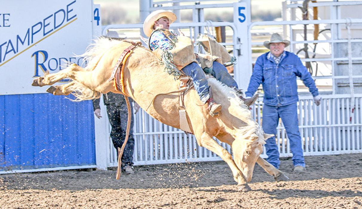 Taos Weborg of Gregory, will be competing in the bareback riding at state. (Photo courtesy of Roper Moore)