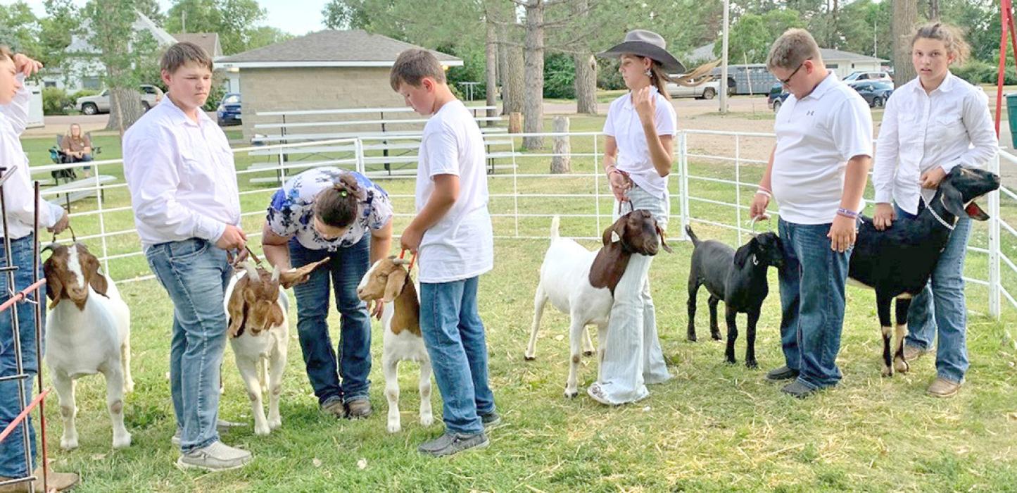 The 4-H youth leading their goats in the goat show are pictured from left to right: Sawyer Tietgen, Morgan Tietgen, Gabe Adams, Brecken Vosika, Austin Vosika, and Tamara Imhof.