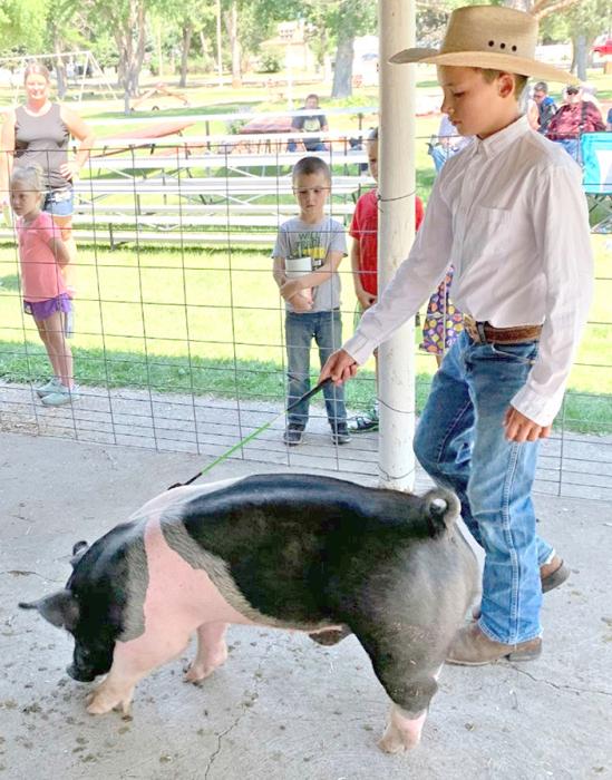 Jack Schulte leading his pig for the swine show.