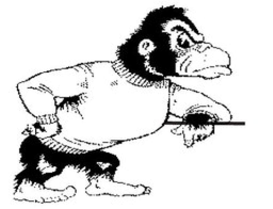 Meet the 2024-2025 GORILLA BASKETBALL TEAM
