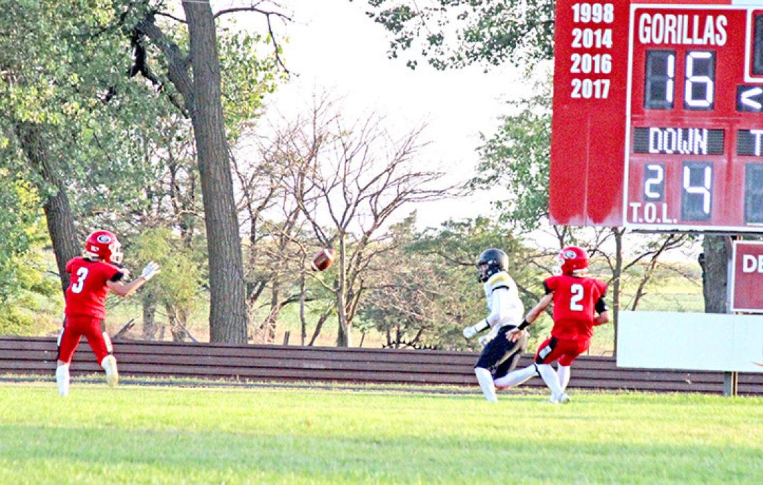 Taos Weborg, #3, had 14 carries for 69 yards, one touchdown, and two first downs for the Gregory Gorillas. (Photos by Gregory Times-Advocate)