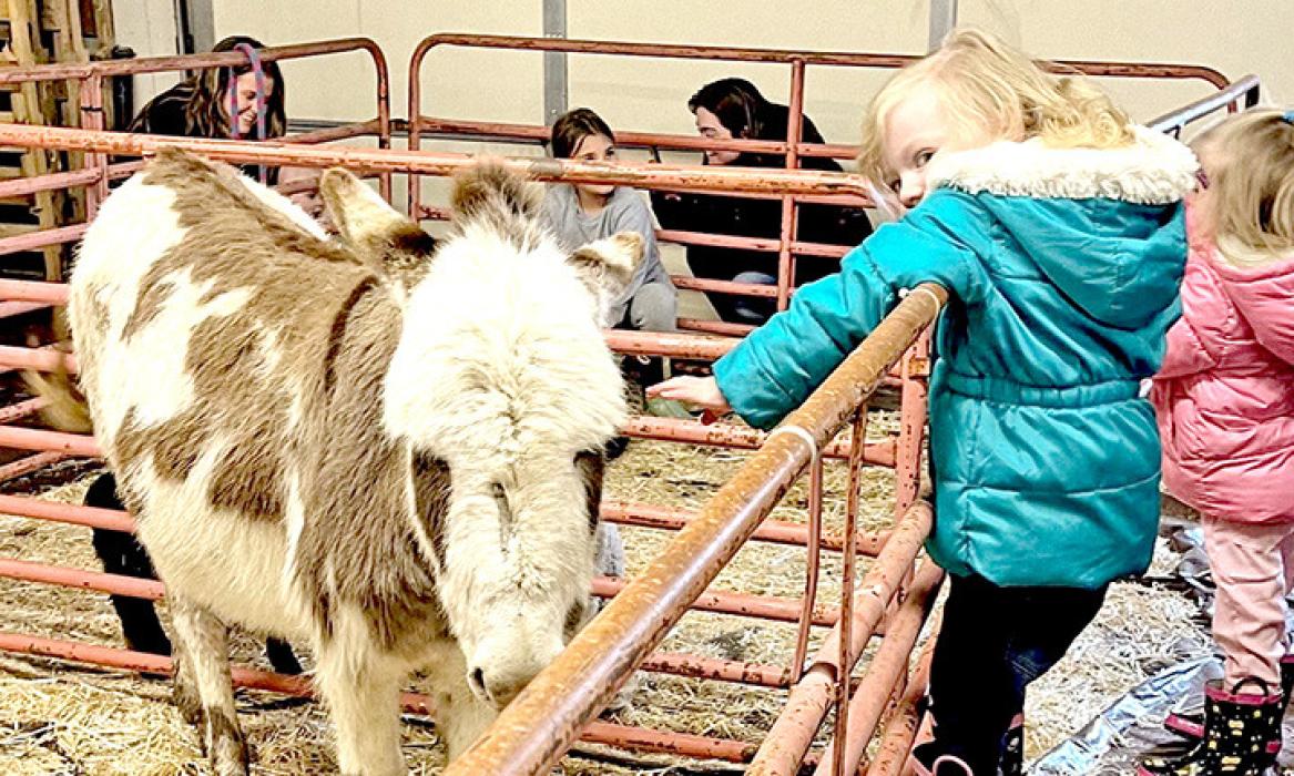 Cold weather can’t stall crowd over the weekend