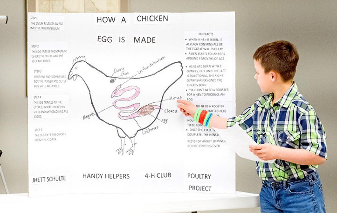 Jhett Schulte presenting on how a chicken egg is made.
