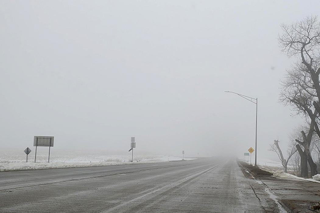 Heavy fog blanketed the area on Friday, preventing the groundhog from seeing his shadow and forecasting an early spring. But does the fog portend rain or snow in 90 days?