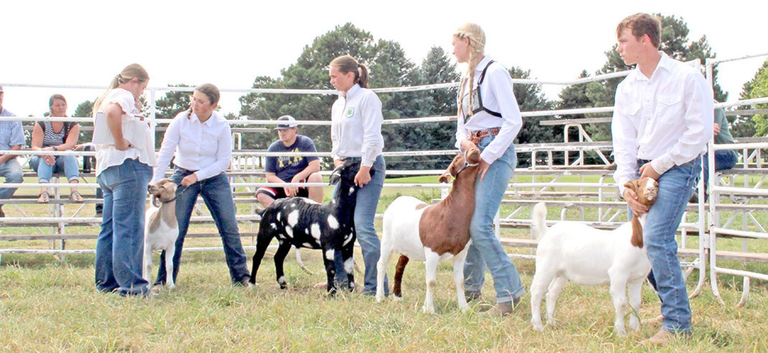 Achievement days held last weekend in Burke