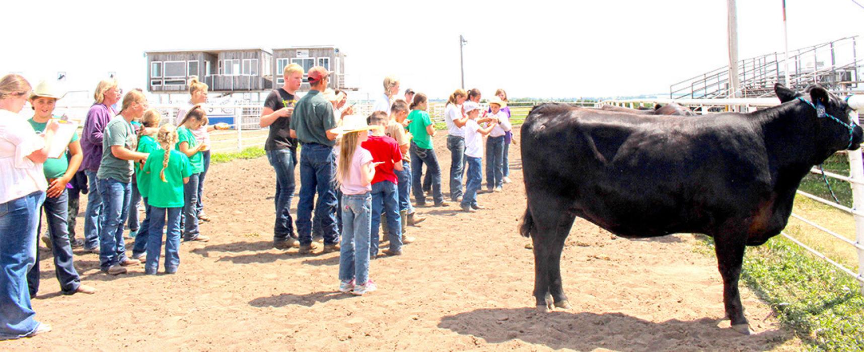 Achievement days held last weekend in Burke