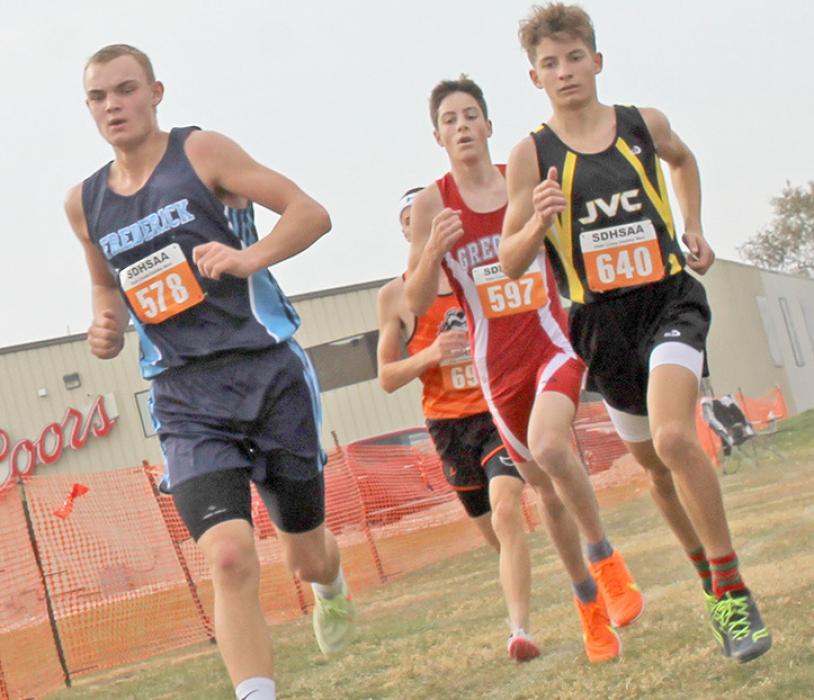 Cross country team was small but mighty at state