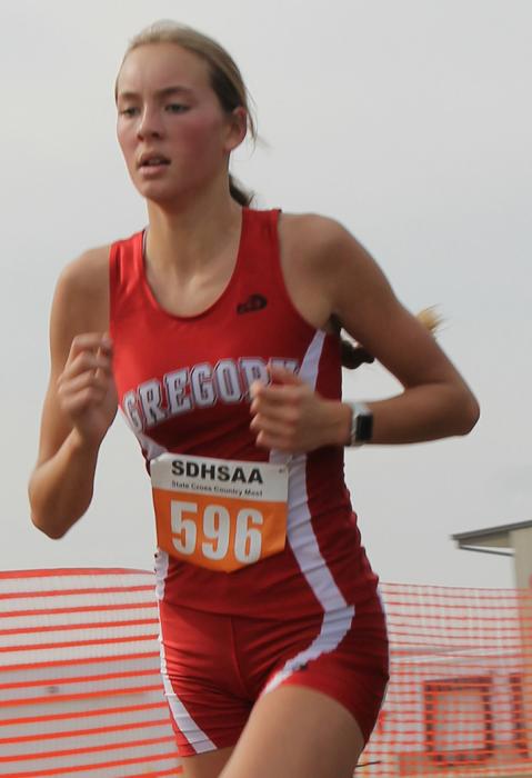 Cross country team was small but mighty at state
