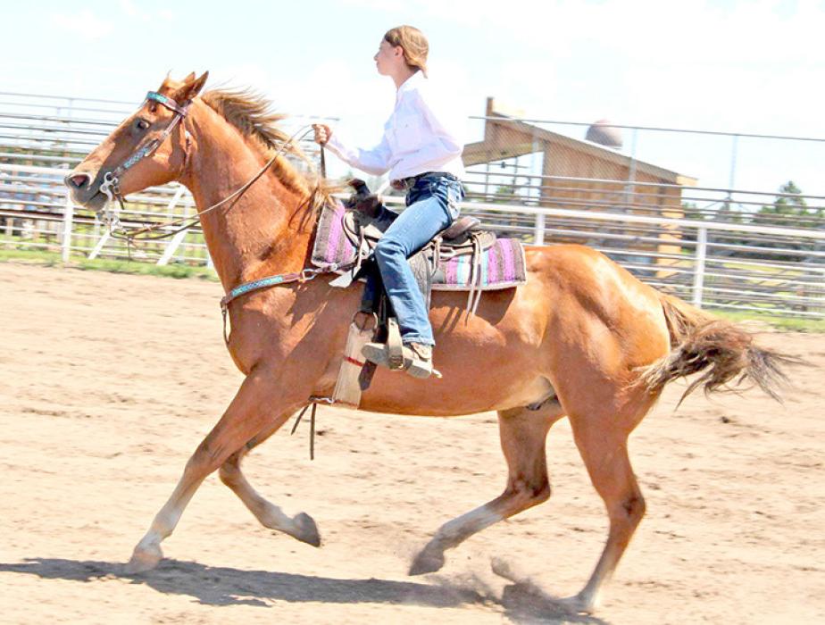 Shyanne Williams earned a 2nd blue in Junior Reining.