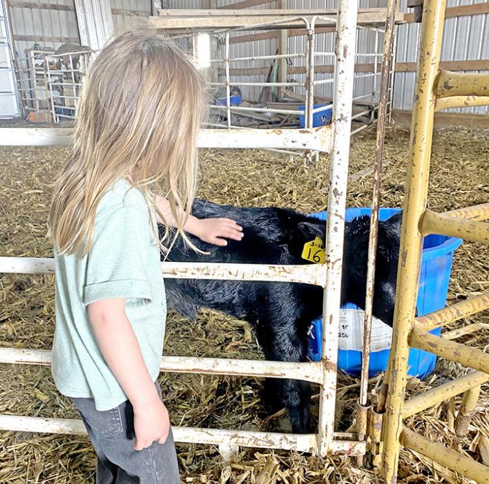 Temperatures varied from 80º to 40º this past week, with sunshine to snow, making it just another stressful calving season for many. Faye Steffen enjoyed the new addition to the herd.
