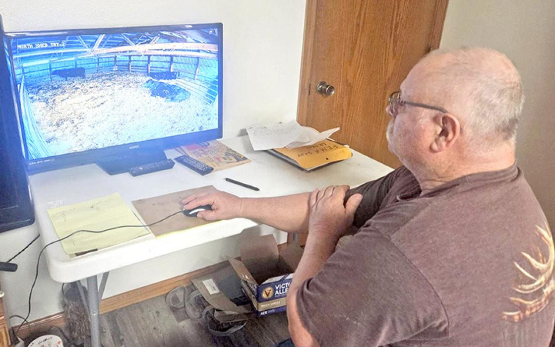 Steve Easton checks on his pregnant cows using a camera system in rural Hanson County, S.D., on March 4, 2025. (Photo: Megan Luther/ South Dakota News Watch)