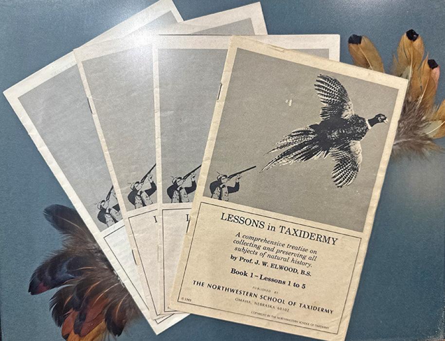 Former teacher’s lesson sparks lifelong career in taxidermy