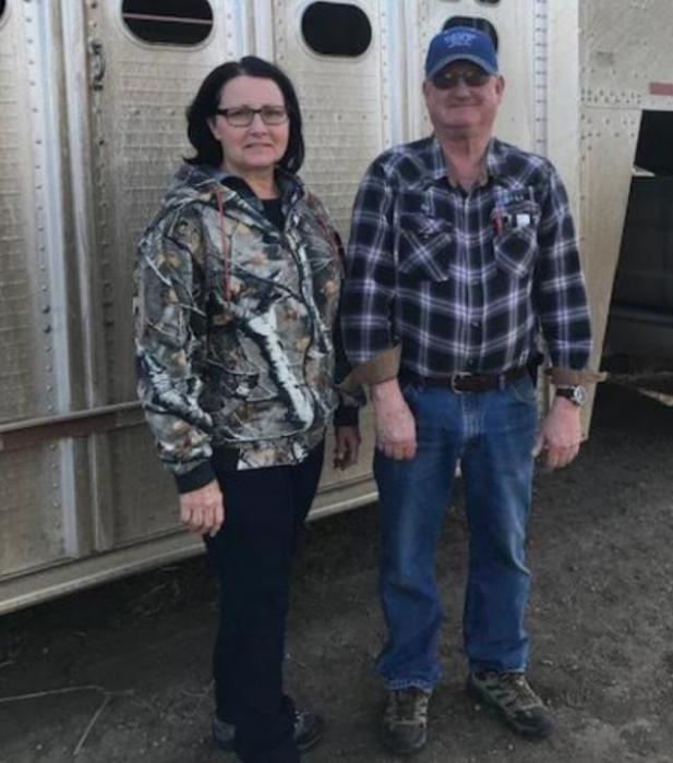 Local cows head to Wall Meats for the Gregory and Burke Schools
