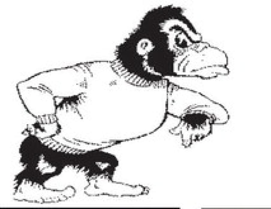 Lady Gorillas