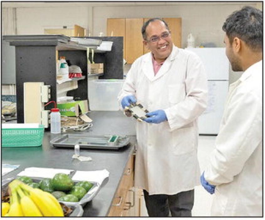 Srinivas Janaswamy, shown in his South Dakota State University lab holding biodegradable film made from agricultural byproducts.
