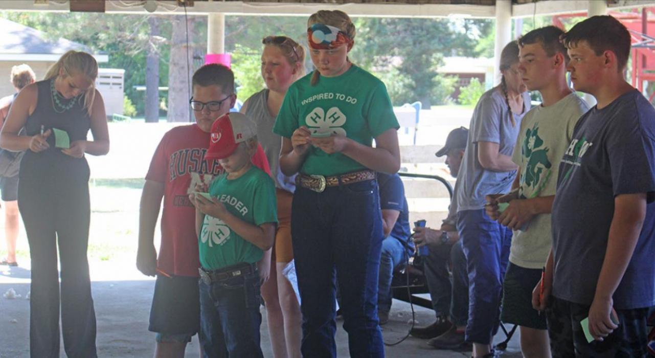 The following 4-Her’s carefully looking over the livestock’s qualities looking for the best. Pictured from l to r: Judge Sawyer N., Austin Vosika, Tucker Krcil, Libby Krcil, Sawyer Tietgen, and Morgan Tietgen.